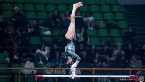 serie a1 sfe06968 copia ph simone ferraro